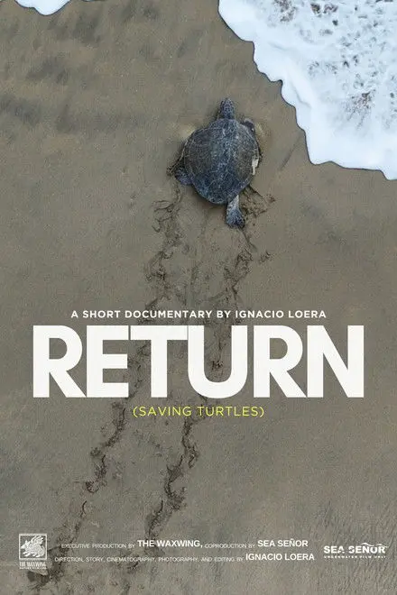 Return Saving Turtles Return Saving Turtles